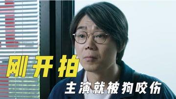 娱乐吐槽吃瓜君,吃瓜君带你领略娱乐圈的酸甜苦辣