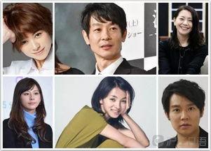 娱乐圈辟谣日吃瓜,揭秘网络谣言背后的真相