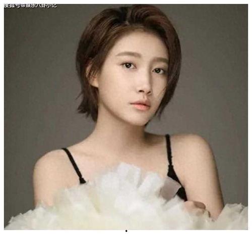 娱乐圈吃瓜党百度百科,揭秘娱乐圈背后的八卦风云